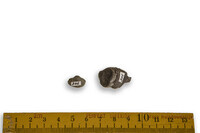 F 00305
<br/>
<br/>
<em></em>